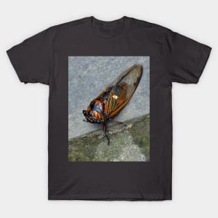 Cicada T-Shirt